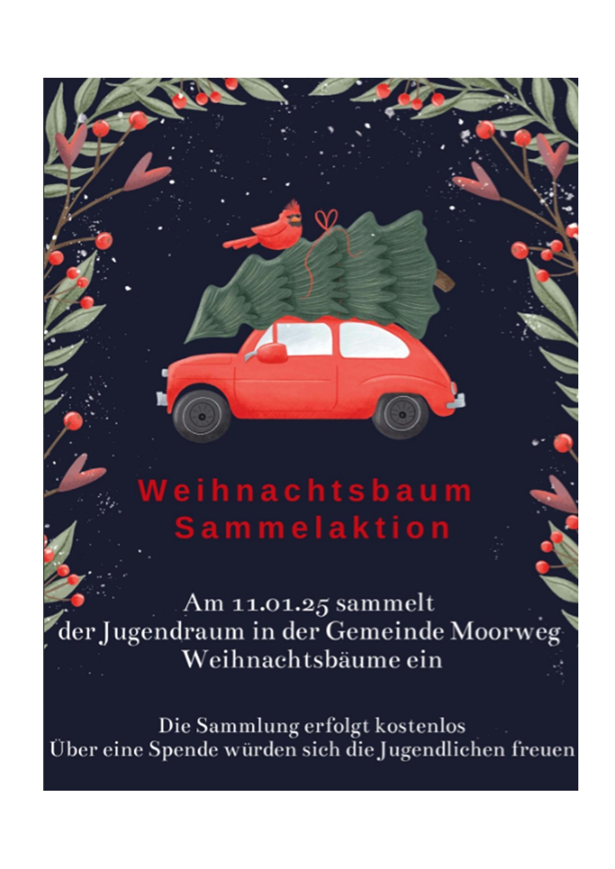 Weihnachtsbaumaktion 2024