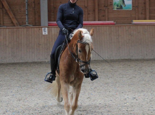 650x480-crop-90-annika_dechert_mit