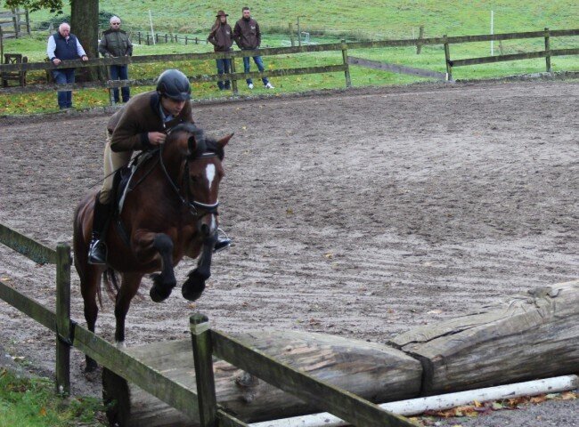 650x480-crop-90-terra_amazing_grace_mit_nico_mueller_im_parcours