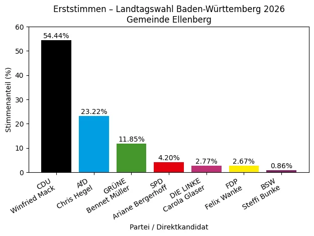 Stimme 1