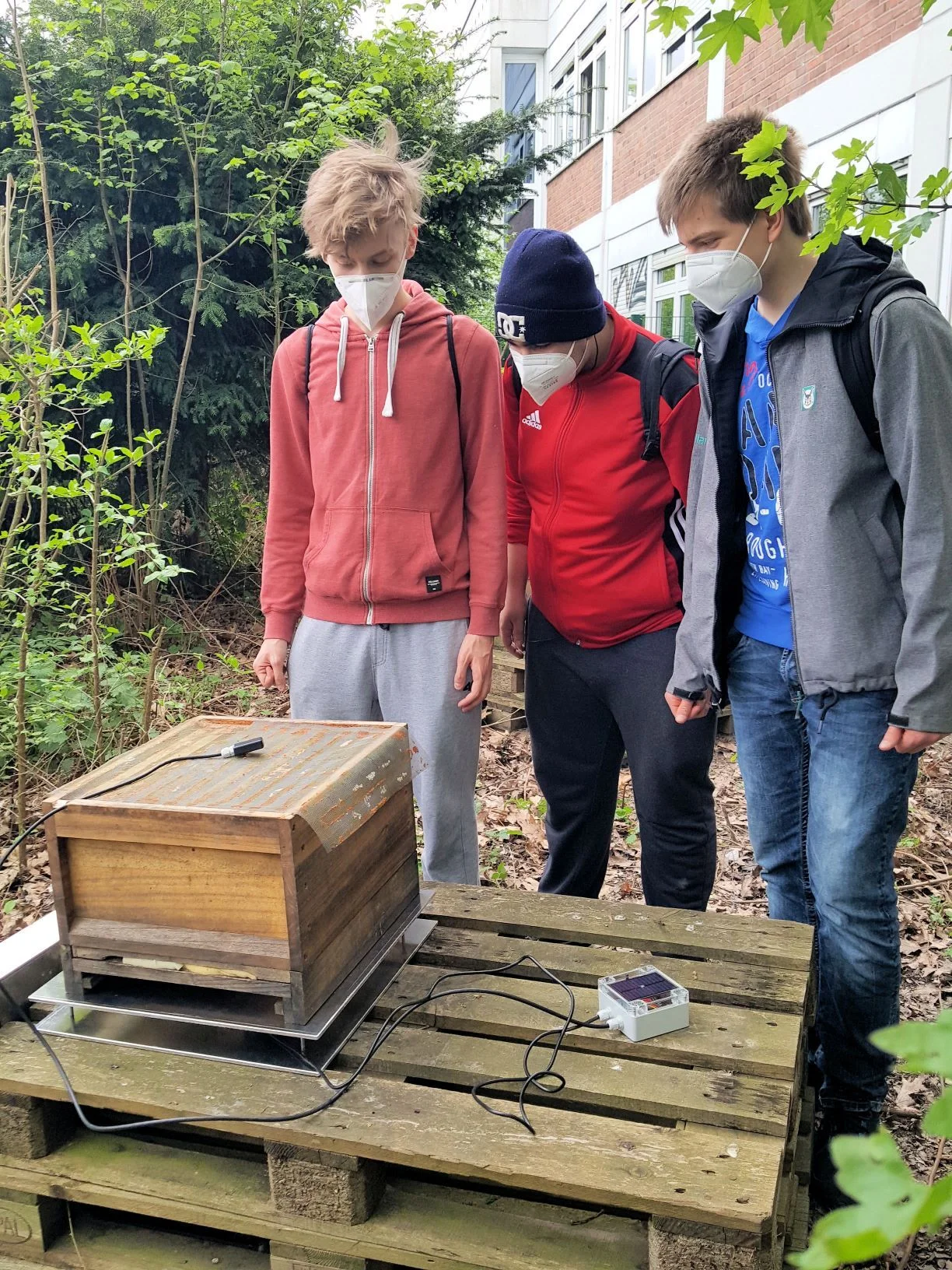 Digitaler Bienenstock an der Realschule Datteln mit Unterstützung des Berufskollegs Ostvest Aufbau des Bienenstocks - läuft alles?