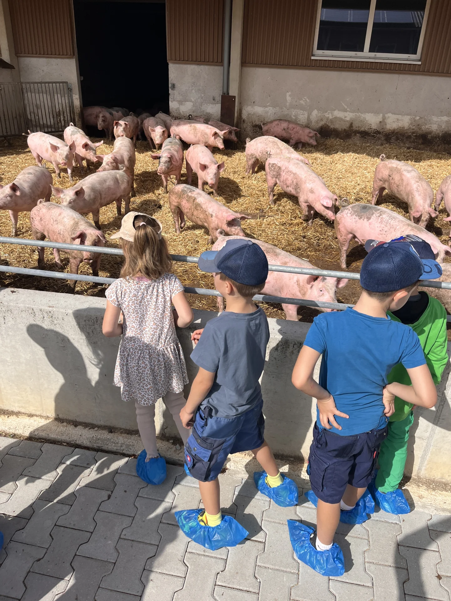 Kinderferienprogramm Ein Tag auf dem Bauernhof 2026 (9)