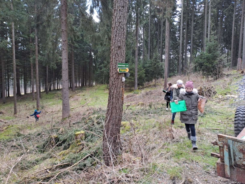 Waldforschung im Grünbacher Wald
