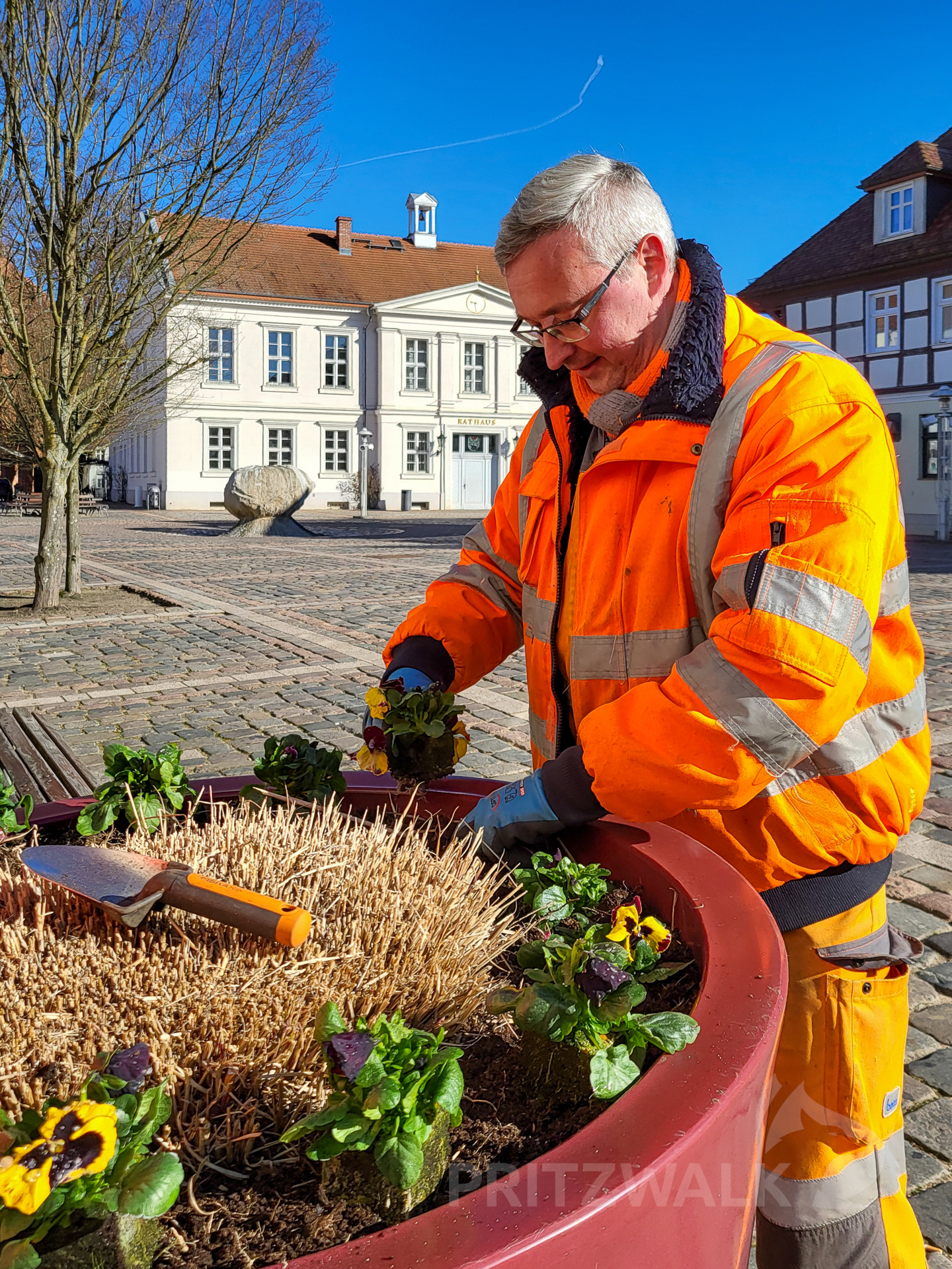 Ruckzuck waren die Kübel auf dem Markt bepflanzt. Foto: Stadt Pritzwalk
