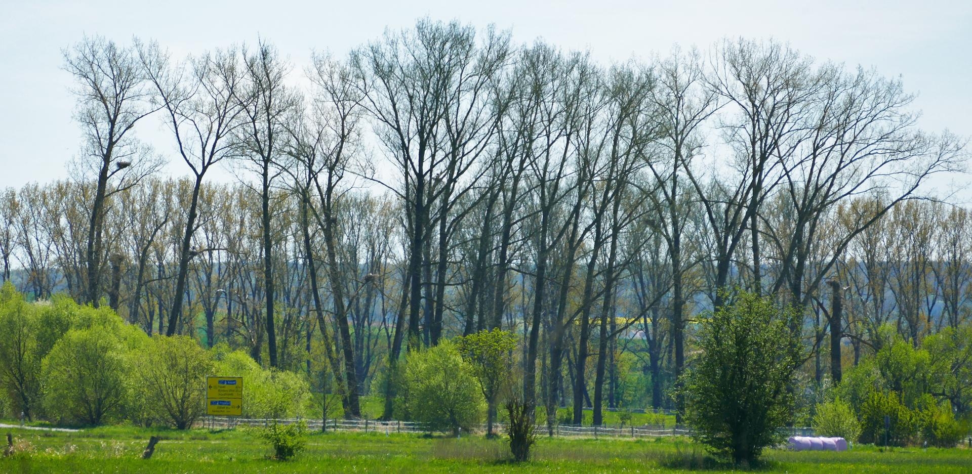Foto: W. Märkel - Klinkenmühle