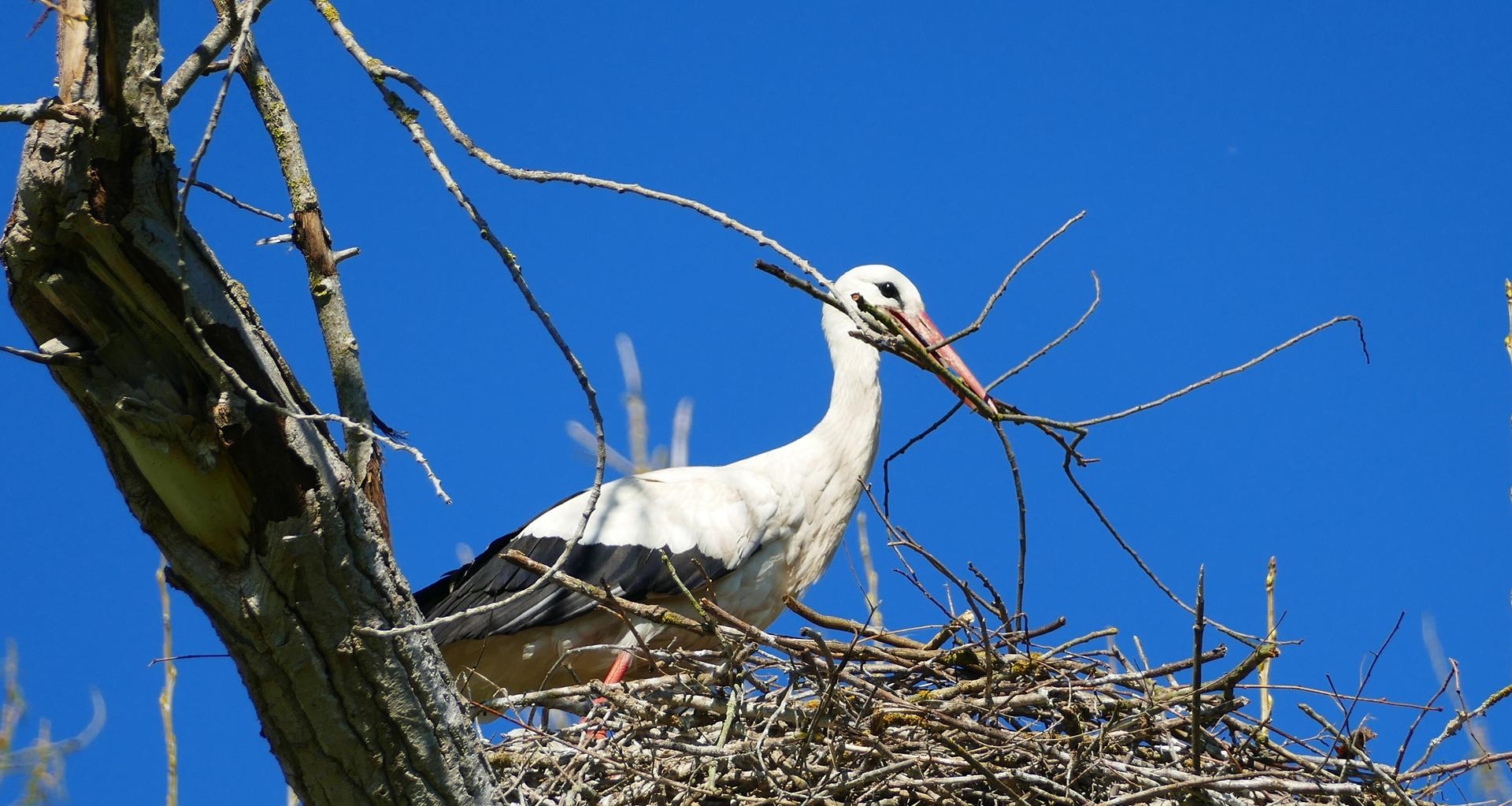Foto: W. Märkel