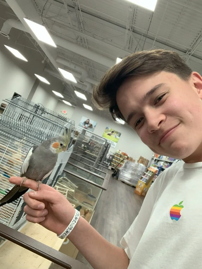 Junge mit Vogel