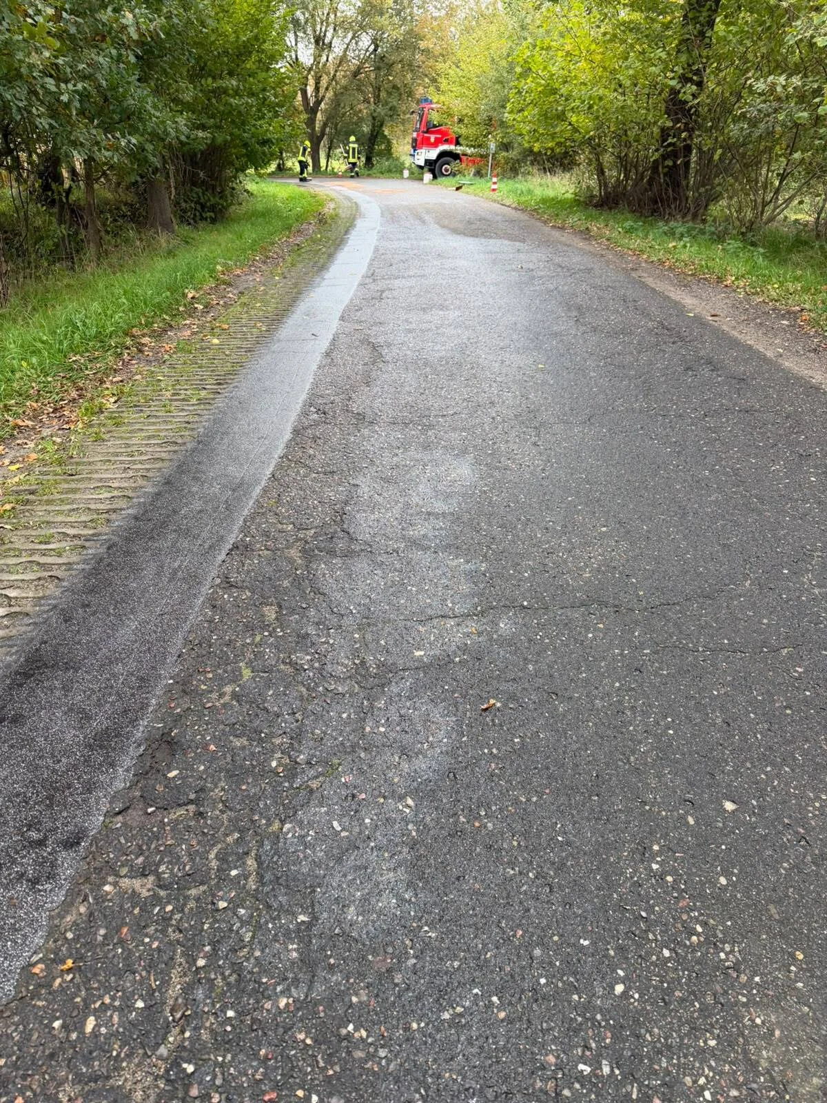 Ölspur Eckholm