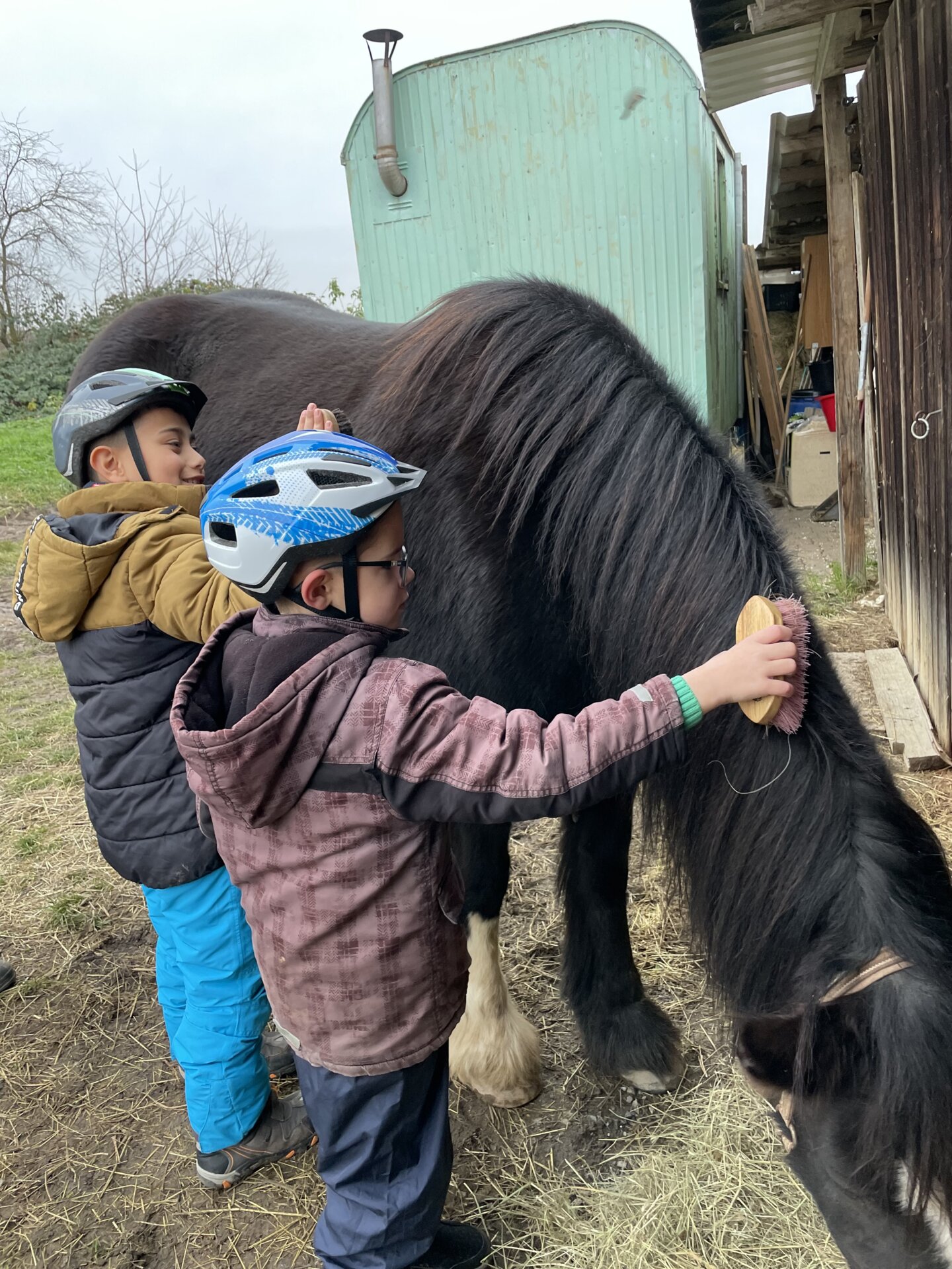 Impression Reittherapie 03