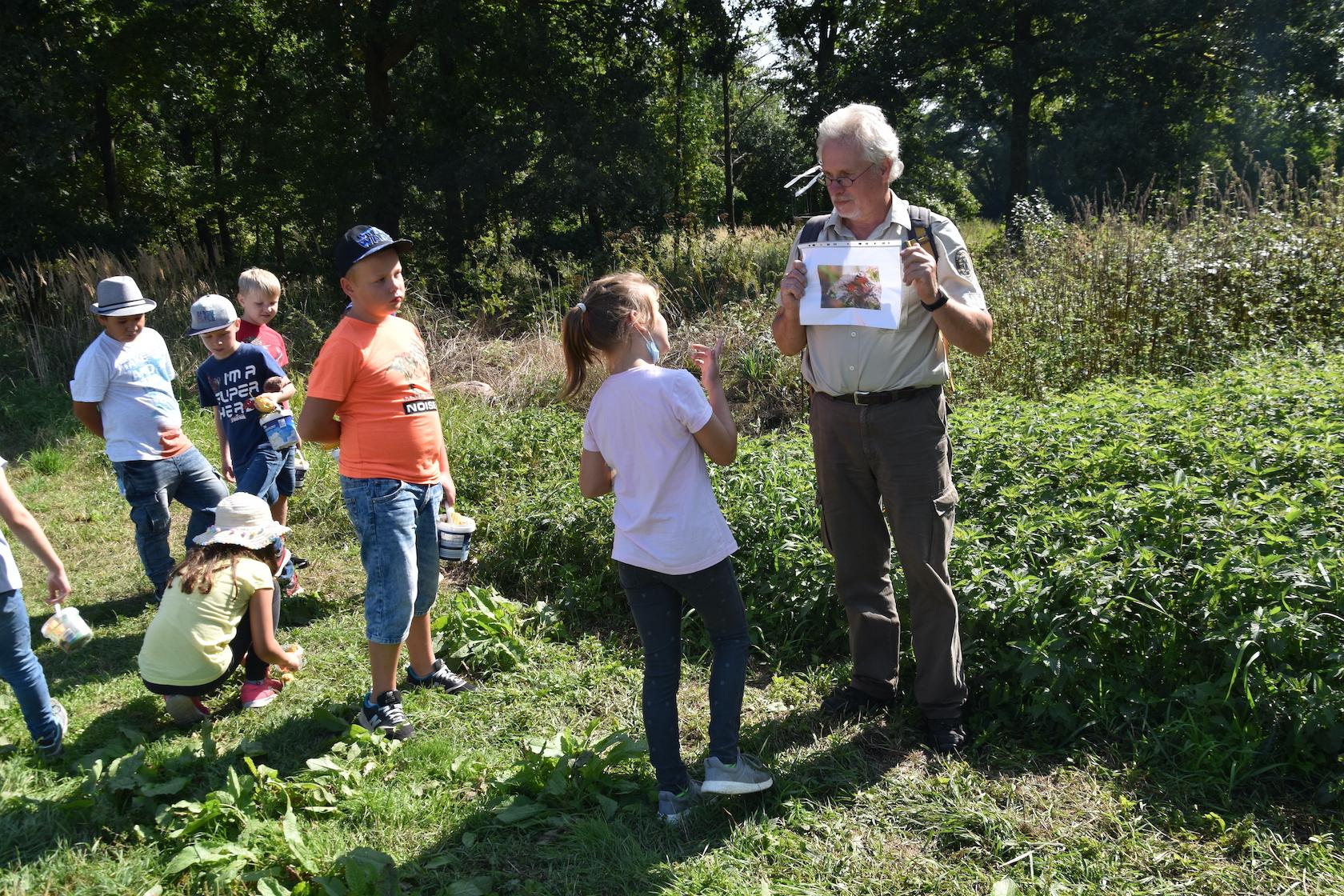 Jörg Nevoigth (Naturwacht Brandenburg) zeigt den Schülerinnen und Schülern ein Tagpfauenauge. Die schwarzen Schmetterlingsraupen haben die Kinder im Brennnesselfeld am Wegesrand entdeckt.