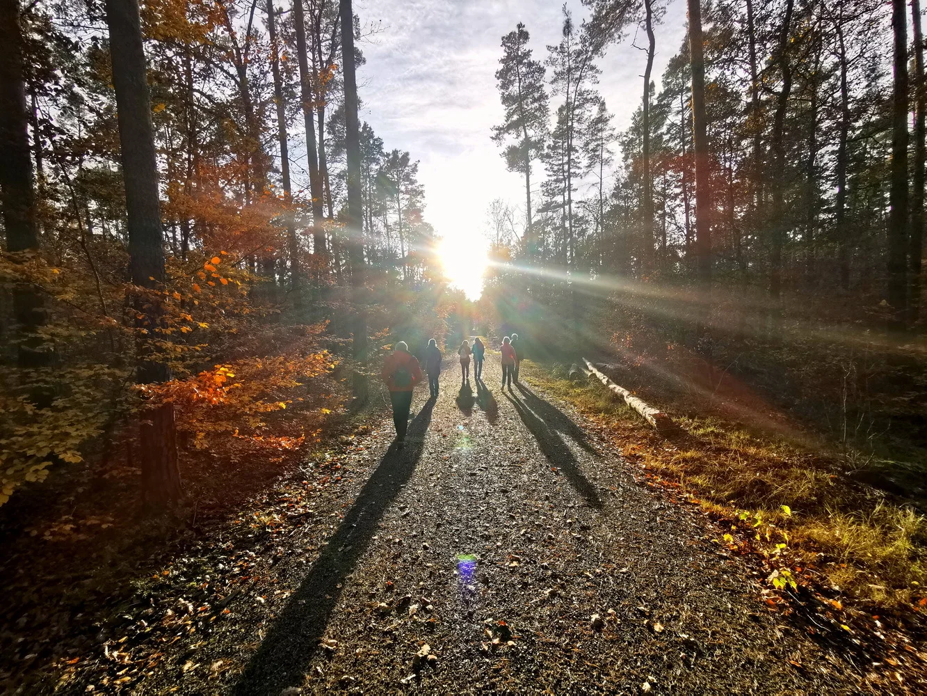 Der Sonne entgegen