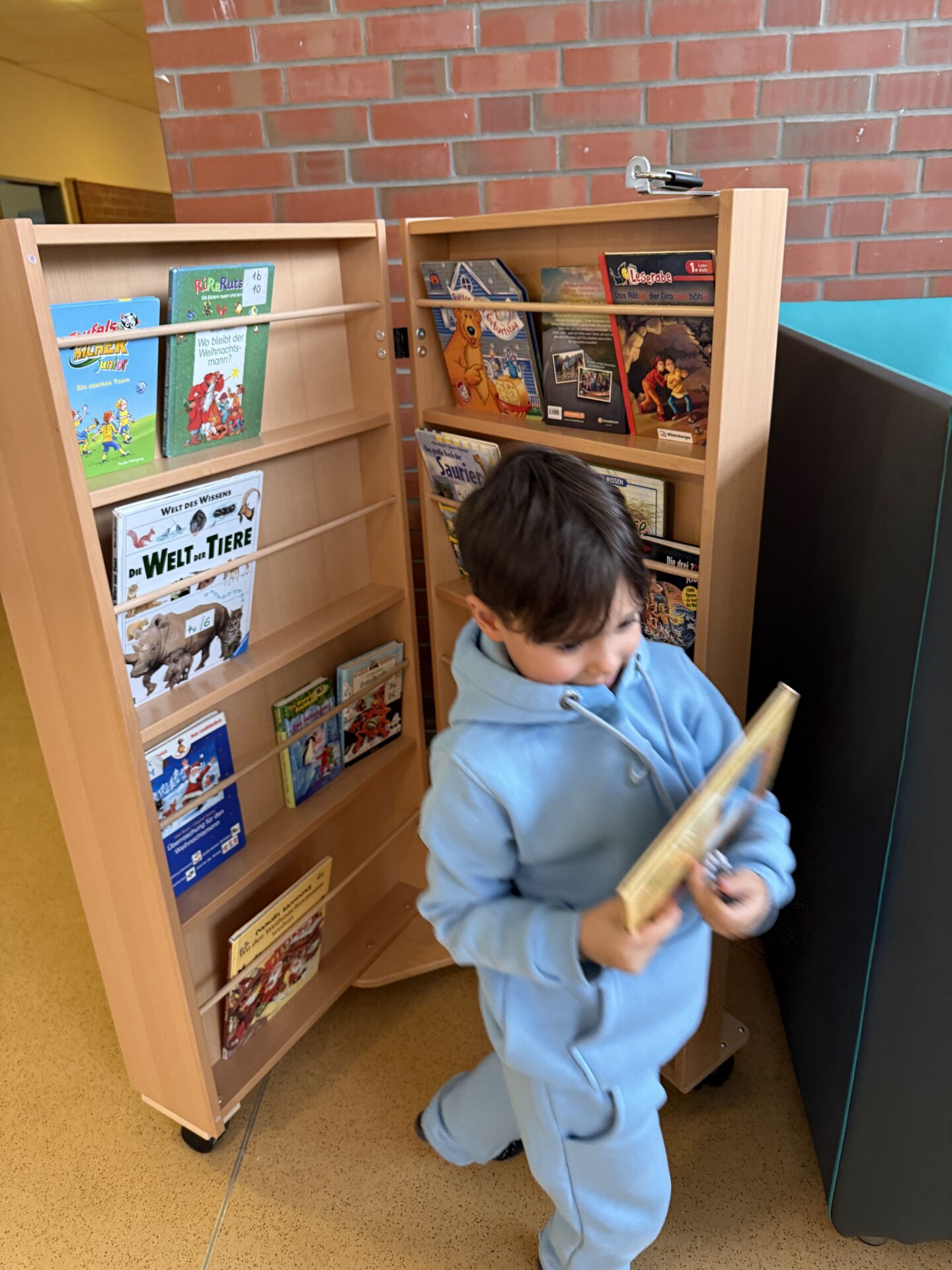 Bücherschrank