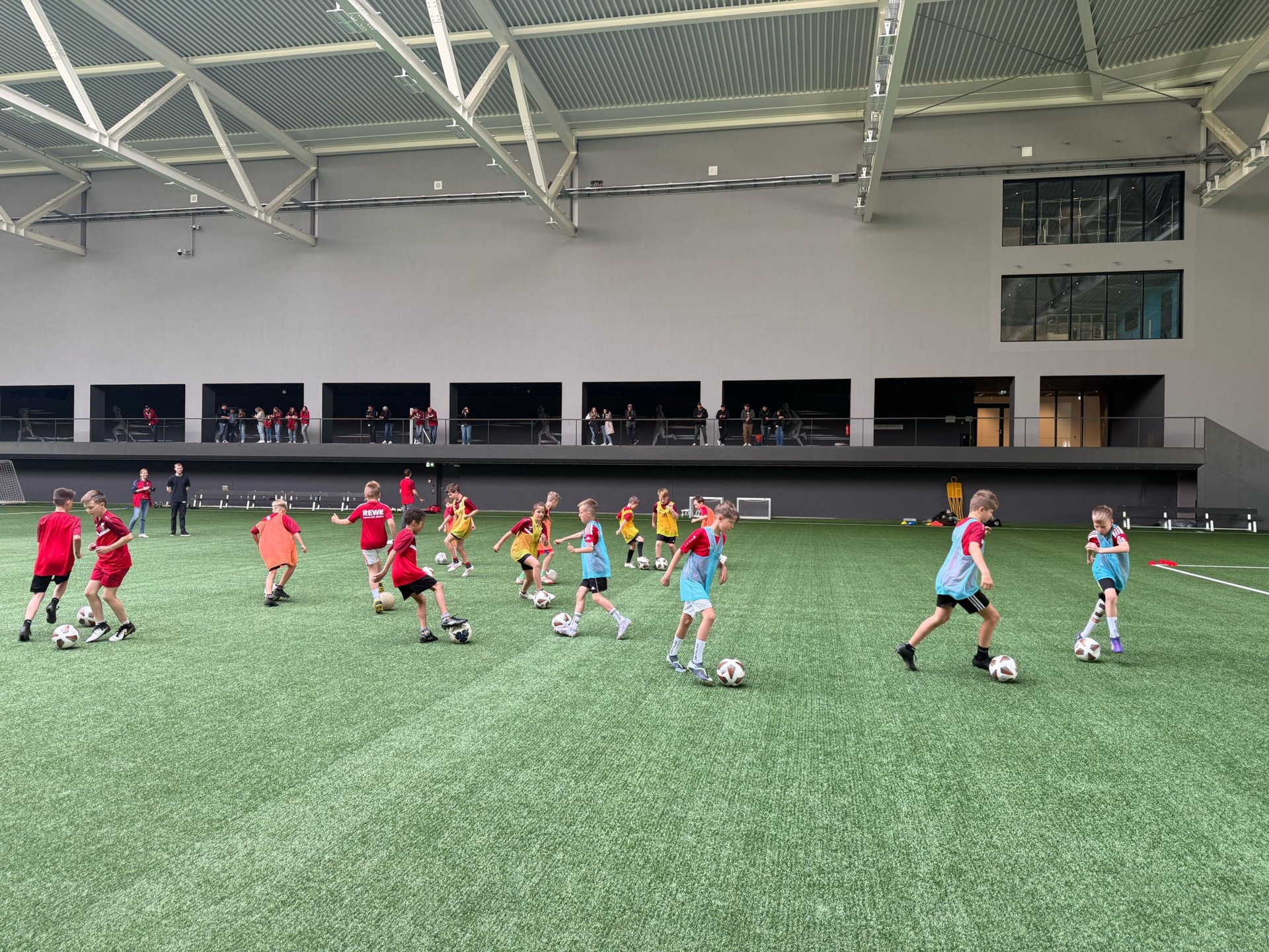 DFB Campus 7