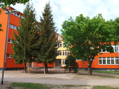 Baumfällungen auf dem Schulcampus (Bild vergrößern)