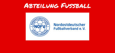 NOFV-Futsal Hallenmeisterschaften in Spergau (Bild vergrößern)