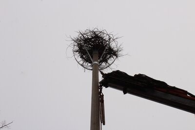 Neuer Mast mit Nest in der Kremmener Grabenstraße