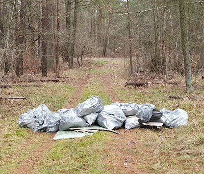 Foto zur Meldung: Müll im Wald