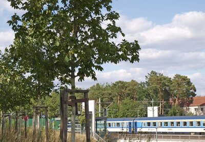 Bahnhof © Gemeinde Rangsdorf - AL22