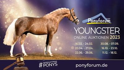 Vorschaubild der Meldung: Ponyforum GmbH: Nächste Youngsterauktion im April