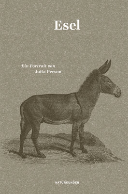 Esel - Ein Portrait