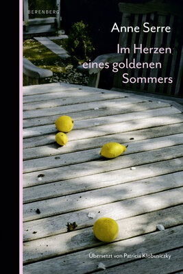 Anne Serre - Im Herzen eines goldenen Sommers