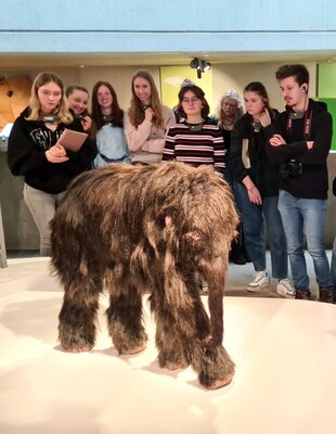 Meldung: Exkursion der Biologie-Grundkurse der Q2 zum Neanderthalmuseum in Mettmann