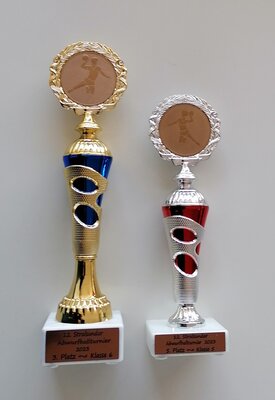 Foto zur Meldung: Abwurfballturnier – neue Pokale für die IGS