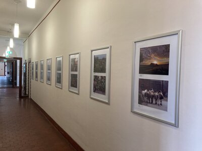 Foto zur Meldung: 25 Blicke aufs Land – Ausstellung mit Bildern aus dem Fotowettbewerb des 1. Kreiserntefestes in Calau