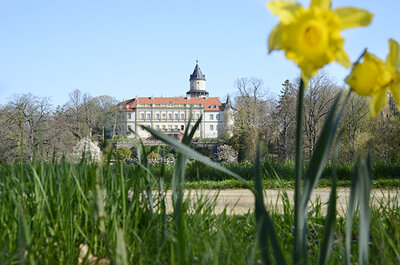 Das Wiesenburger Schloss im Frühling (Foto: Stefan Abtmeyer)