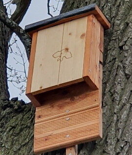 Neues Haus für Fledermäuse (Bild vergrößern)