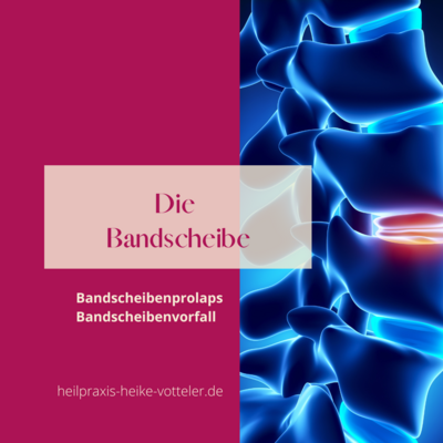 Blog Beitrag: Die Bandscheibe (Bild vergr&ouml;&szlig;ern)