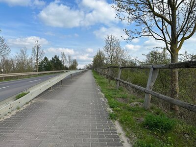 Die Stadt erhält Fördermittel für die Sanierung des Radweges nach Breese I Foto: Martin Ferch (Bild vergrößern)