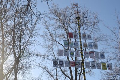 Foto zur Meldung: Dorfverschönerungsverein Weilerswist stellt Zunftbaum auf