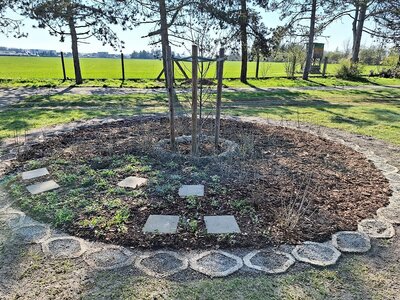 Foto zur Meldung: Renovierung der Trauerhalle und Errichtung der 1. Baumbestattungsanlage auf dem städtischen Friedhof Naunhof