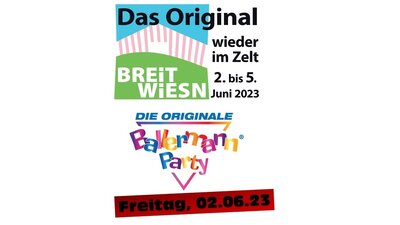 Die originale Ballermann Party am Freitag (Bild vergrößern)