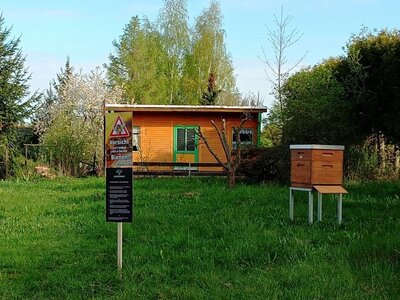 Standort eines Bienenvolkes am Kinder- und Schulzentrum (Bild vergrößern)