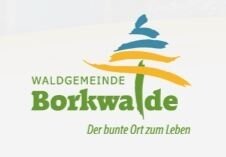Beleuchtungskonzept der Gemeinde Borkwalde