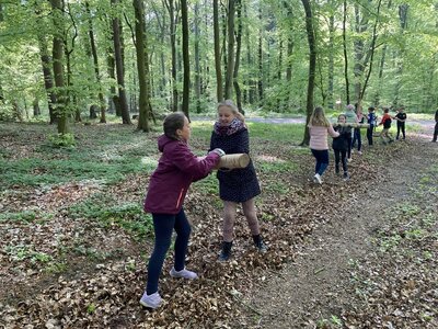 Teamwork im Wald (Foto: Föste)