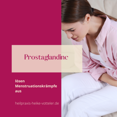 Blog: Prostaglandine lösen Menstruationskrämpfe aus (Bild vergrößern)