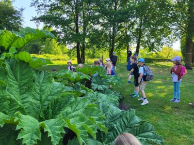 Meldung: Ausflug zum Park der Gärten
