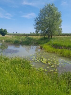 Foto zur Meldung: Teichkartierung im Delitzscher Land und in der Dübener Heide