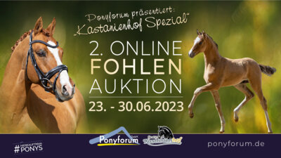 Ponyforum GmbH: Start der Online Fohlenauktion KASTANIENHOF SPEZIAL (Bild vergrößern)