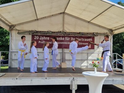 Sek. Taekwondo: Vorführung bei ProCurand (Bild vergrößern)