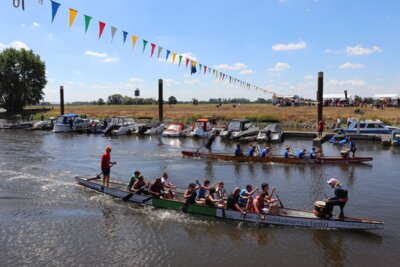 Drachenbootrennen beim Elbebadetag I Foto: Franziska Lenz (Bild vergrößern)