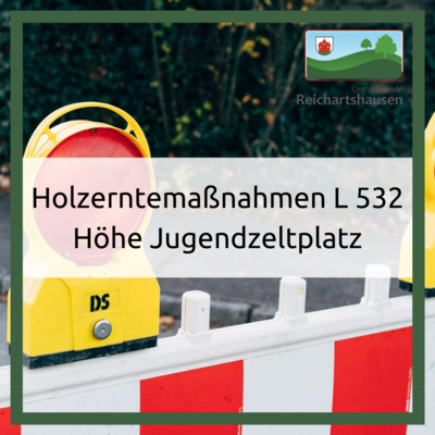 Holzerntemaßnahme an der L 532 auf Höhe Jugendzeltplatz (Bild vergrößern)