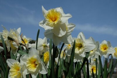 Meldung: Ostergrüße des Verbandsvorsitzenden