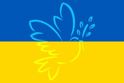 Unterstützung für Ukrainische Flüchtlinge (Bild vergr&ouml;&szlig;ern)