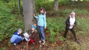 Unterwegs in der Natur mit Radula (Bild vergrößern)