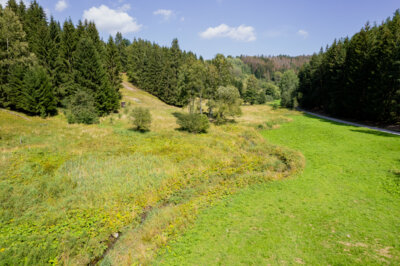 Bachlauf im Tal der Weißen Schwarza (Bild vergrößern)