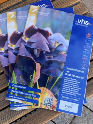 Kurse der Volkshochschule (Bild vergrößern)
